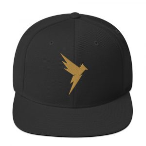 FUNDERBIRD ICON Snapback Hat